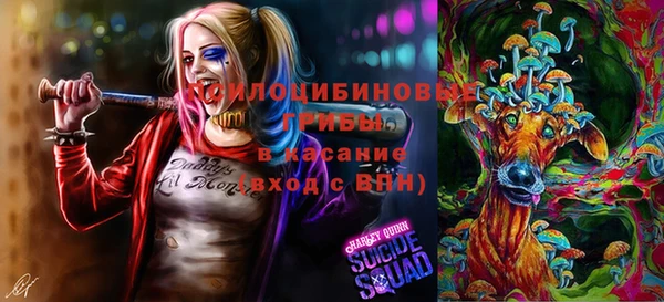 стафф Алексеевка